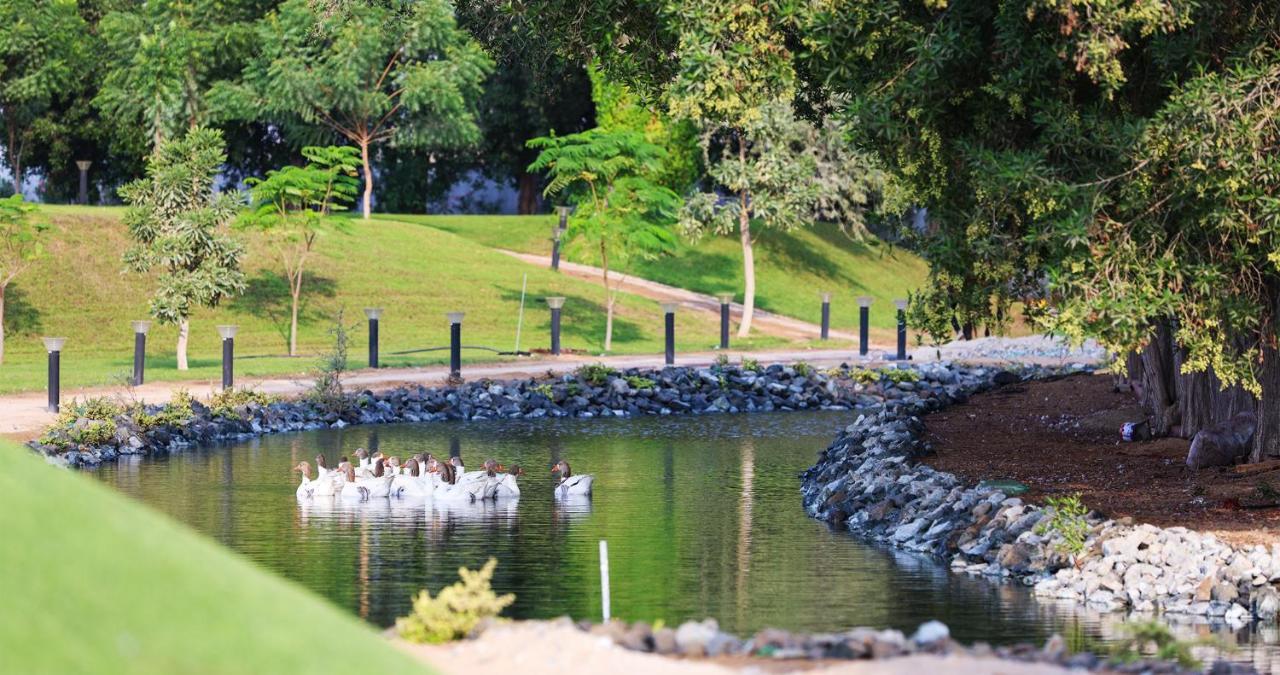 Nirvana Retreat Digdaga ภายนอก รูปภาพ
