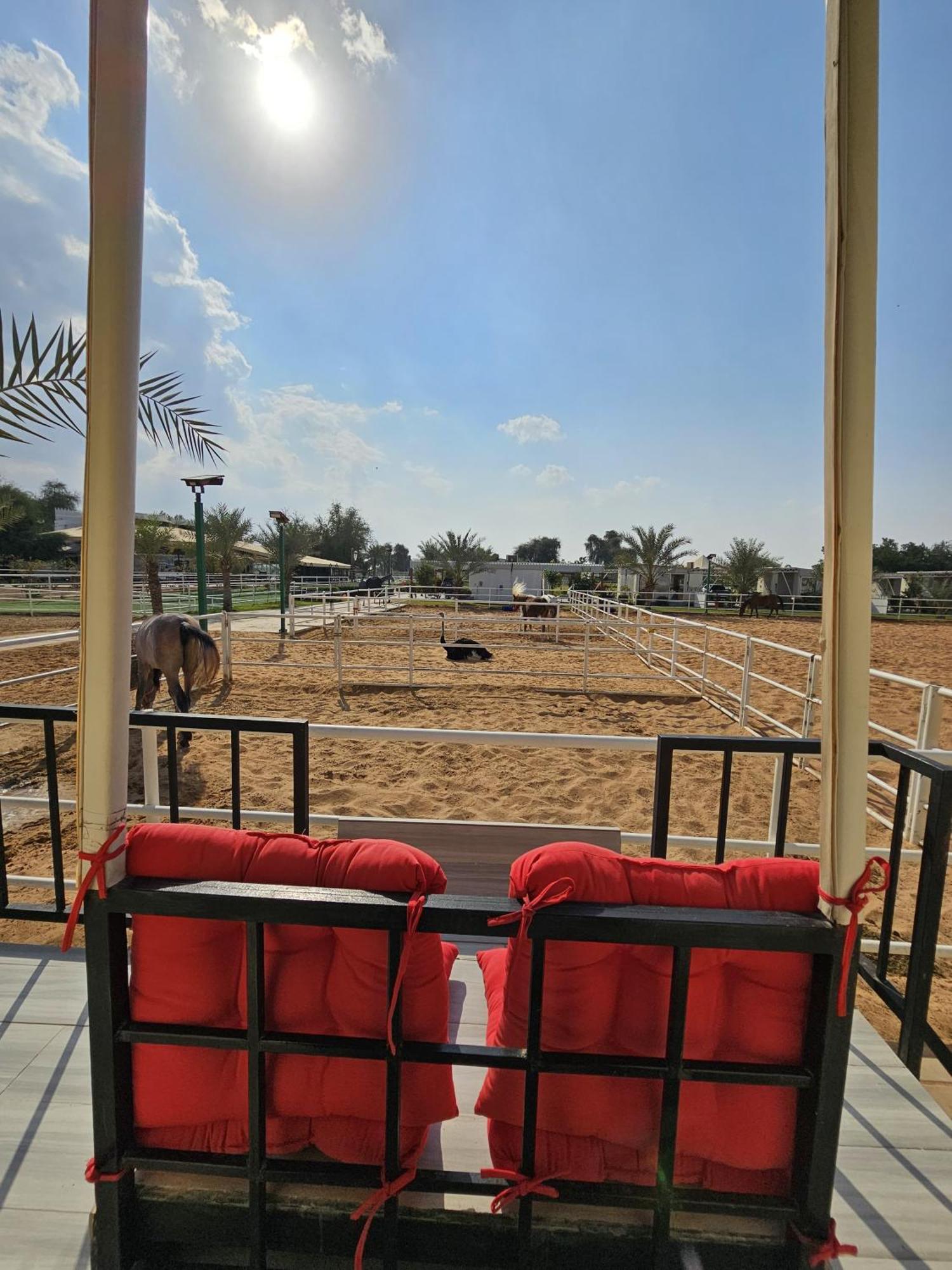 Nirvana Retreat Digdaga ภายนอก รูปภาพ